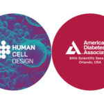 news-human-cell-design-endoc-ADA-2024